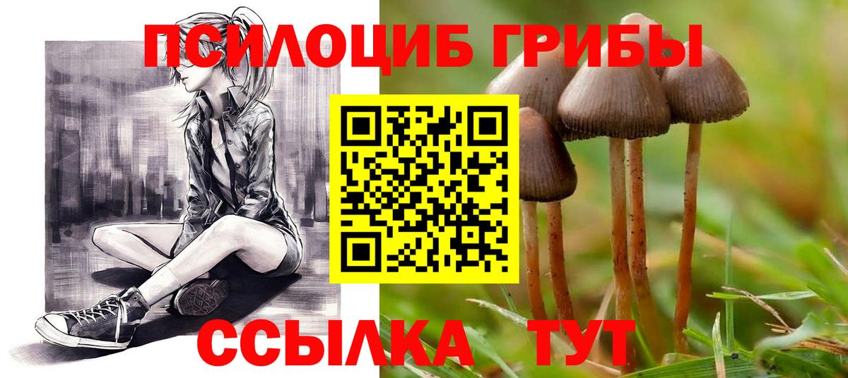 Псилоцибиновые грибы ЛСД Фрязино
