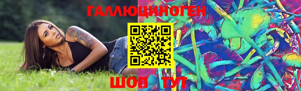 Фрязино  купить  сайты  Вход с VPN  Псилоцибиновые грибы Psilocybine cubensis  Галлюциногенные грибы Psilocybine cubensis 